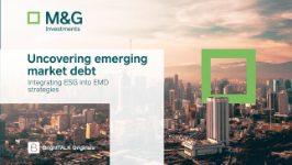 Driving Sustainability in Emerging Markets: Integrating ESG into…
